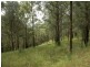 Lot 8 Ogilvie Drive, Tabulam NSW 2469