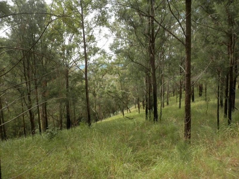 Lot 8 Ogilvie Drive, Tabulam NSW 2469