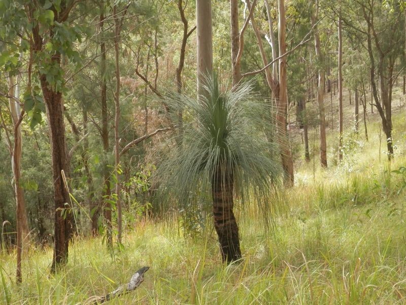 Lot 8 Ogilvie Drive, Tabulam NSW 2469