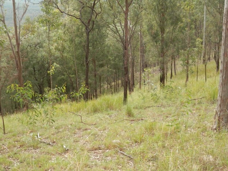 Lot 8 Ogilvie Drive, Tabulam NSW 2469
