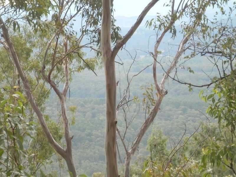 Lot 8 Ogilvie Drive, Tabulam NSW 2469