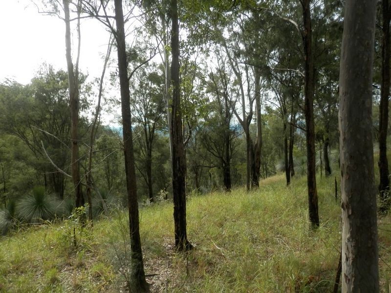 Lot 8 Ogilvie Drive, Tabulam NSW 2469