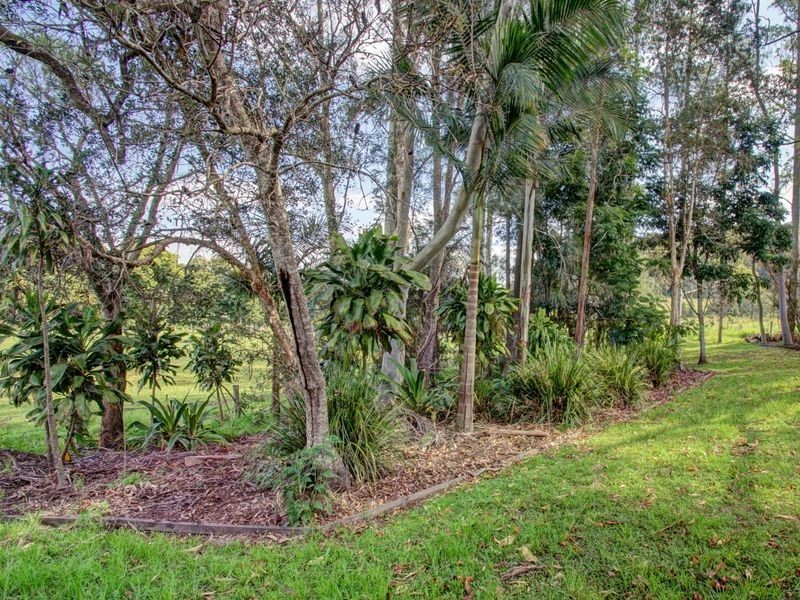 267 Back Creek Road, Bentley NSW 2480