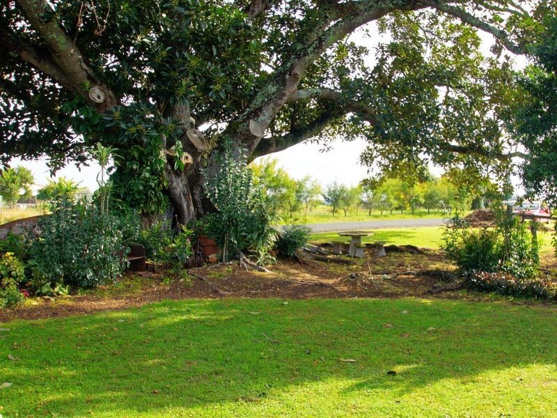 8 Fig Tree Lane, Mckees Hill NSW 2480