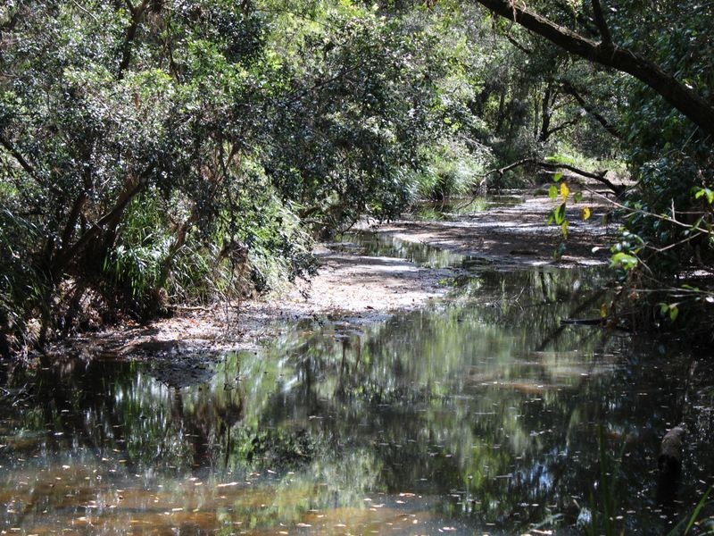 615 Mongogarie Road, Casino NSW 2470