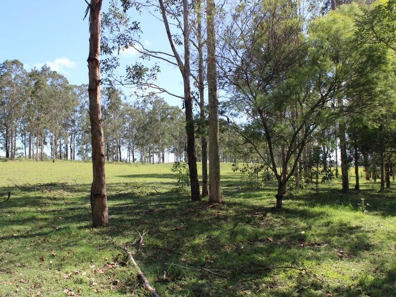 615 Mongogarie Road, Casino NSW 2470