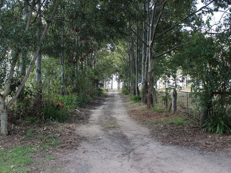 615 Mongogarie Road, Casino NSW 2470