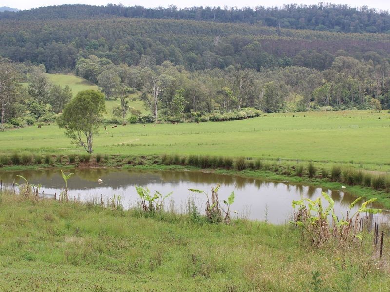 572 Beaury Creek Road, Urbenville NSW 2475