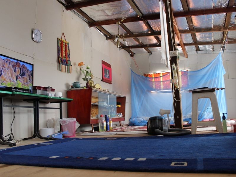 572 Beaury Creek Road, Urbenville NSW 2475