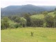 572 Beaury Creek Road, Urbenville NSW 2475