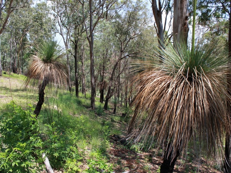 Lot 9 Ogilvie Drive, Tabulam NSW 2469