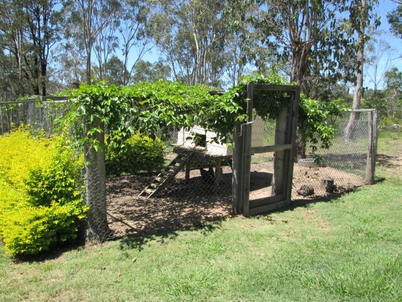 251 Fairfield Road, Drake NSW 2469