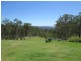 251 Fairfield Road, Drake NSW 2469