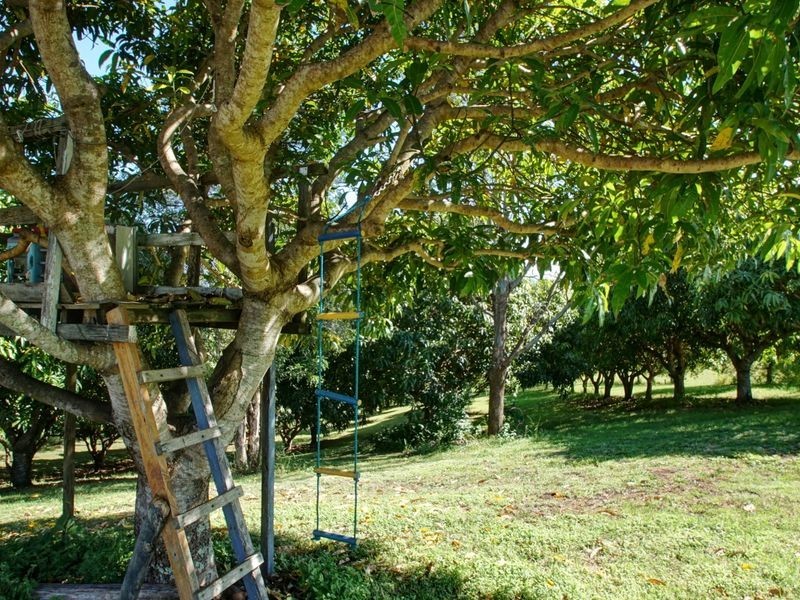 537 Backmede Road, Casino NSW 2470