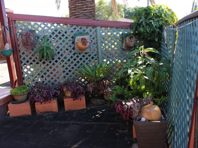 11 Tallowood Avenue, Casino NSW 2470