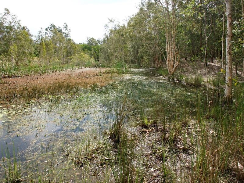 209 Kings Lane, Tatham NSW 2471