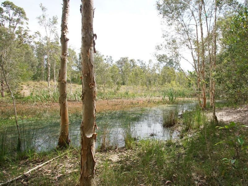 209 Kings Lane, Tatham NSW 2471