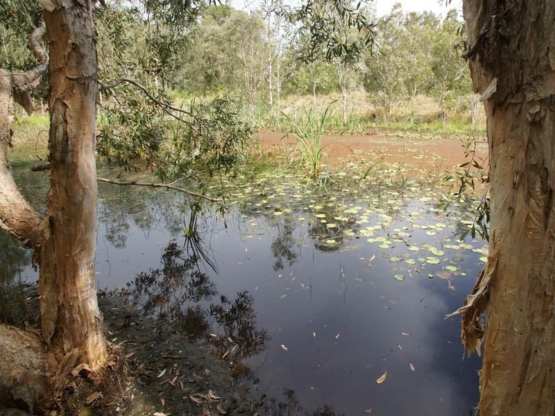 209 Kings Lane, Tatham NSW 2471