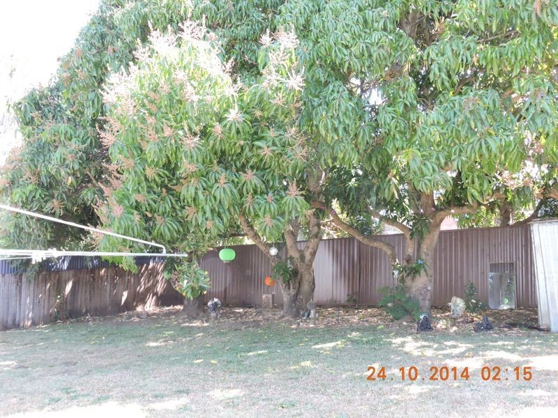 34 Boronia Crescent, Casino NSW 2470