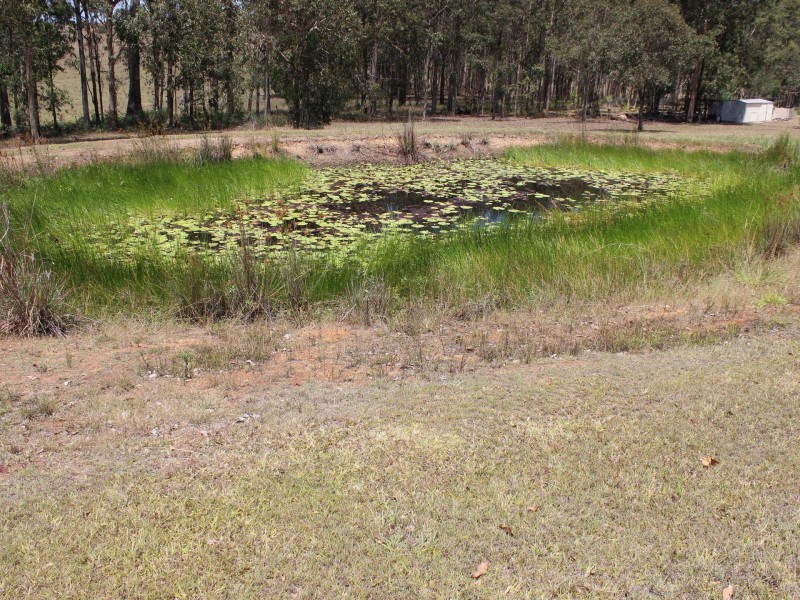 860 Ellangowan Road, Yorklea NSW 2470