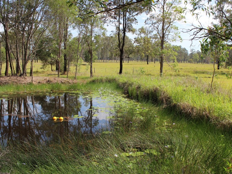 95 Avenue Road – Myrtle Creek, Myrtle Creek NSW 2469