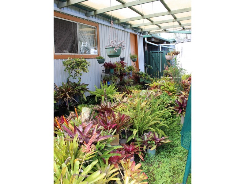 95 Avenue Road – Myrtle Creek, Myrtle Creek NSW 2469