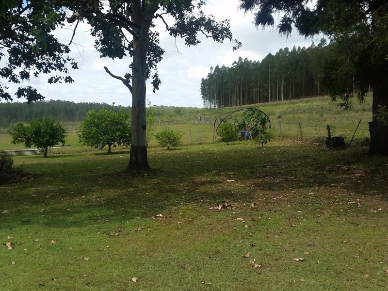 269 Pigman Road DYRAABA, Casino NSW 2470