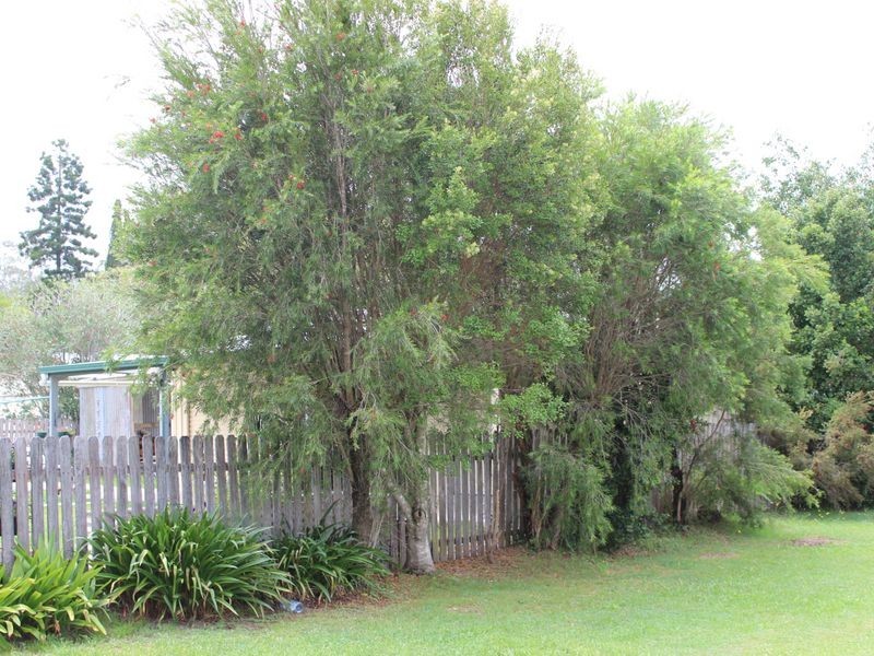 9 Gill Street, Bonalbo NSW 2469