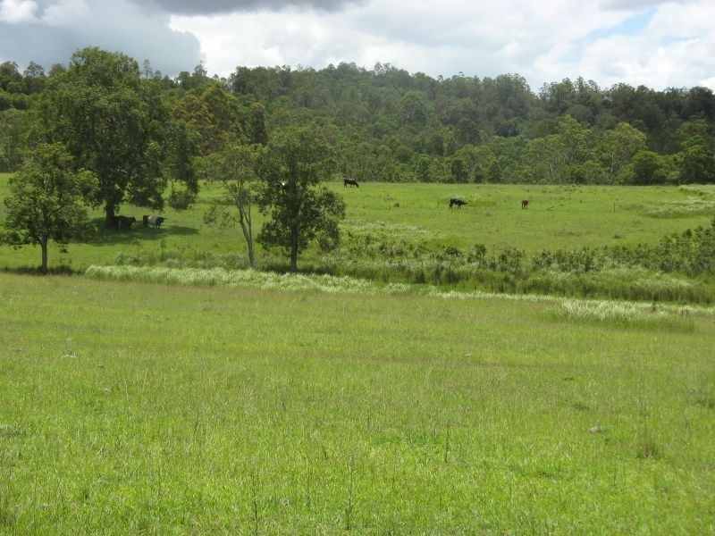 10948 Clarence Way, Tabulam NSW 2469