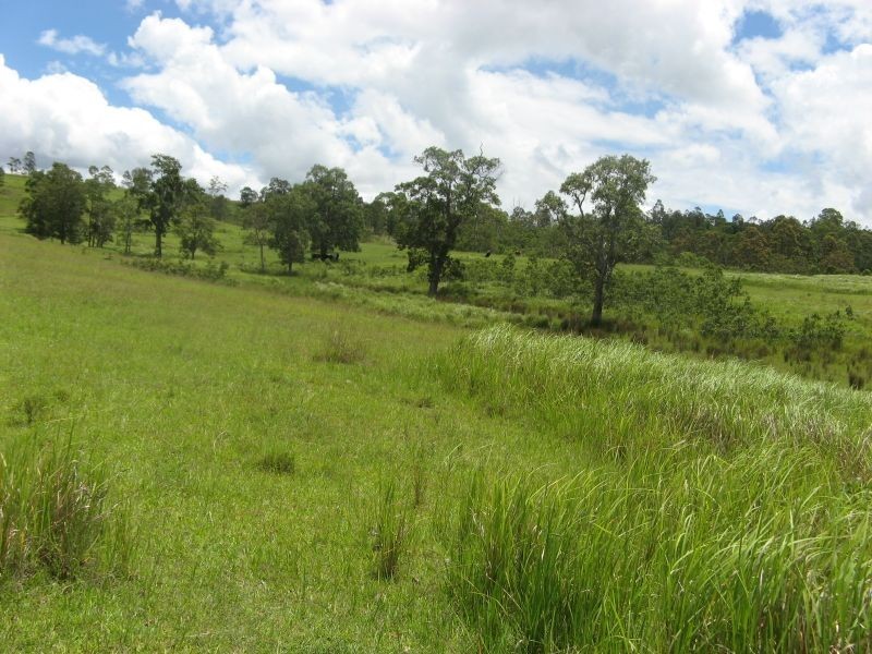 10948 Clarence Way, Tabulam NSW 2469