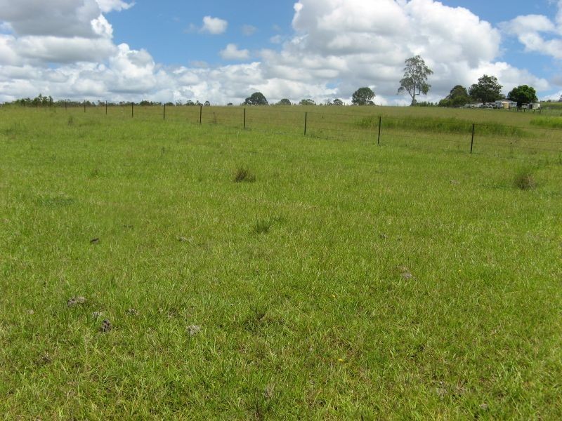 10948 Clarence Way, Tabulam NSW 2469