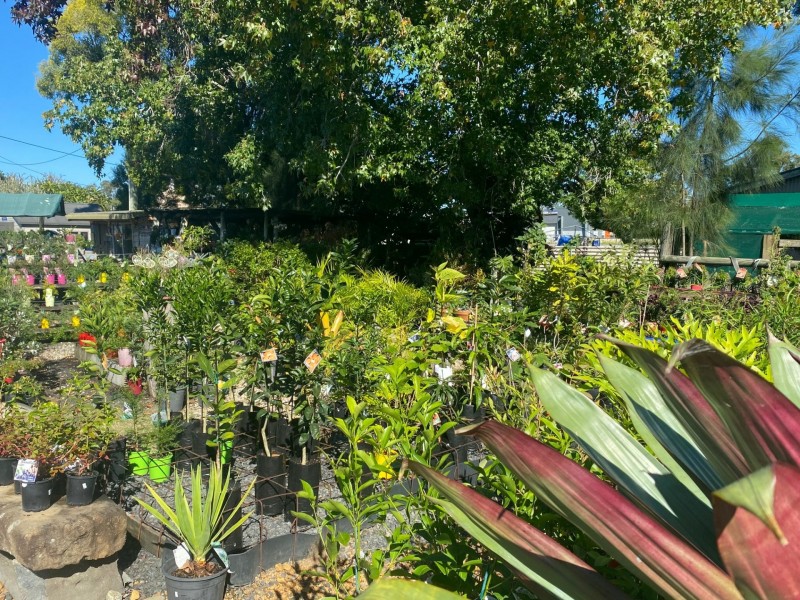 12-18 Country Lane, Casino NSW 2470