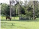 615 Mongogarie Road, Leeville NSW 2470