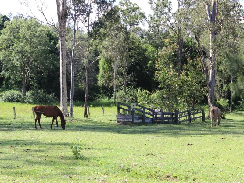 615 Mongogarie Road, Leeville NSW 2470