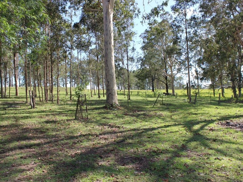 615 Mongogarie Road, Leeville NSW 2470