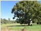 695 Reynolds Road,, Casino NSW 2470