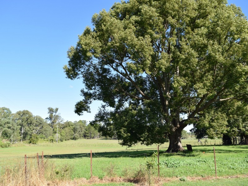 695 Reynolds Road,, Casino NSW 2470