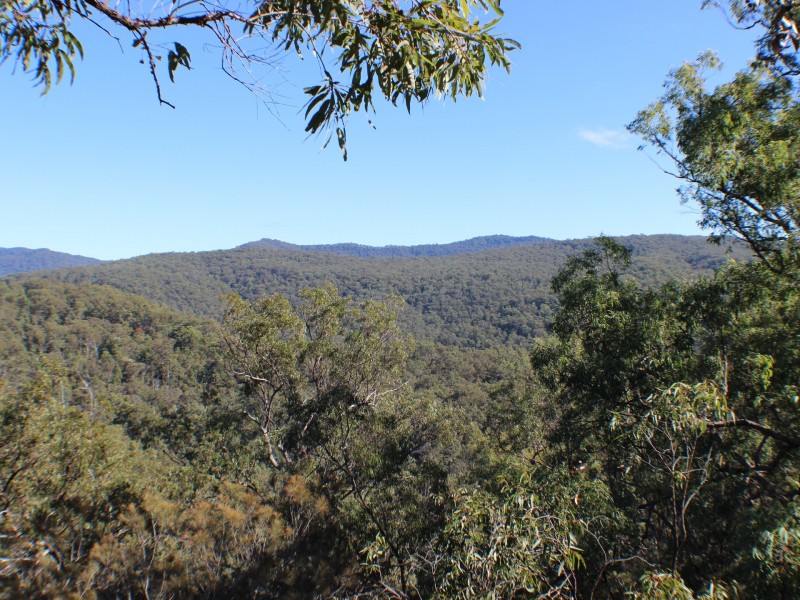 613 Seery Road, Rappville NSW 2469