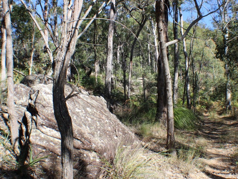 613 Seery Road, Rappville NSW 2469