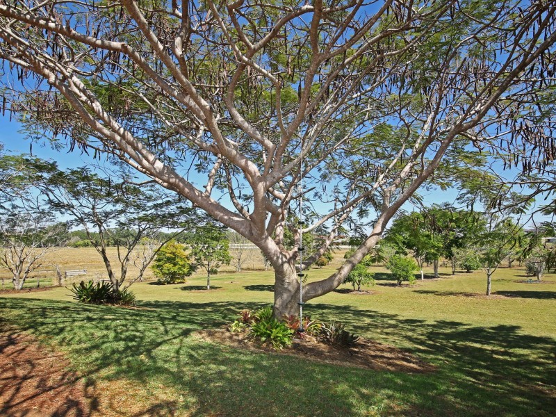 2 Forest Grove, FAIRY HILL via, Casino NSW 2470