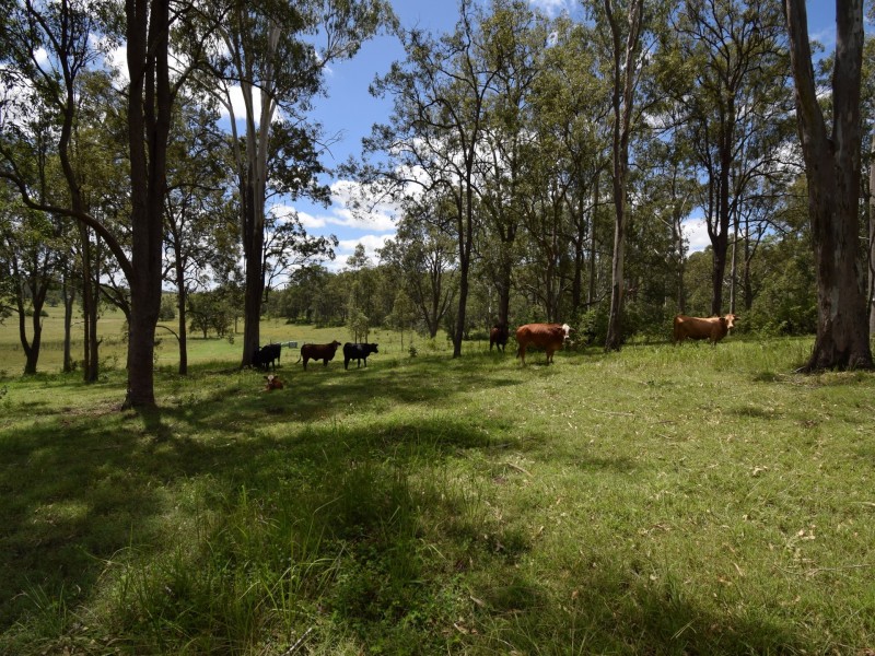 210 Pitches Road, Casino NSW 2470