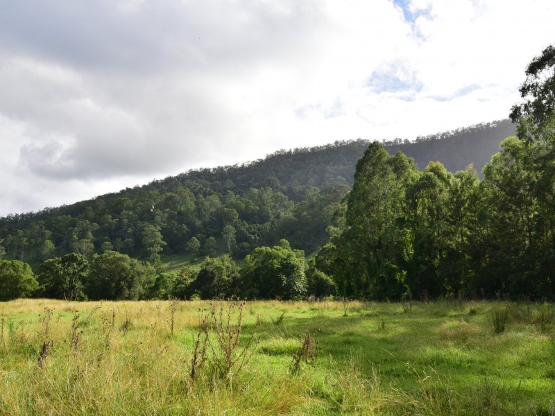 3164 Summerland Way, Grevillia NSW 2474