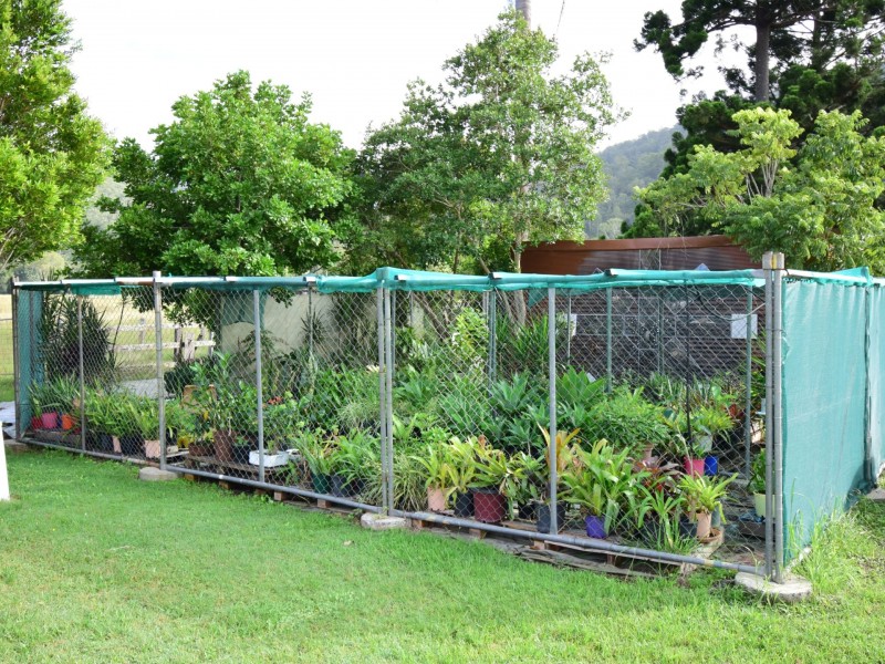 3164 Summerland Way, Grevillia NSW 2474