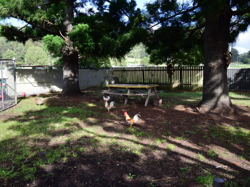 3164 Summerland Way, Grevillia NSW 2474