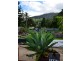 3164 Summerland Way, Grevillia NSW 2474