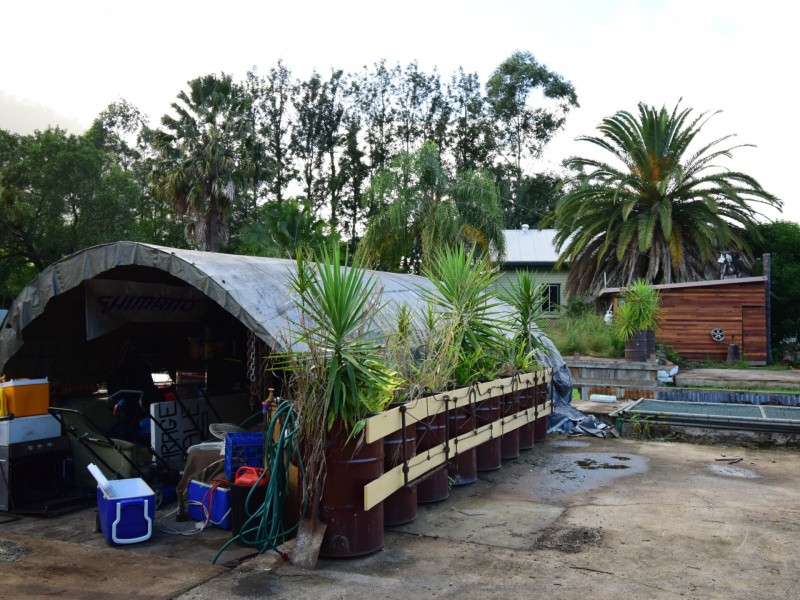 3164 Summerland Way, Grevillia NSW 2474