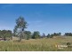 800 Ellangowan Road, Yorklea NSW 2470