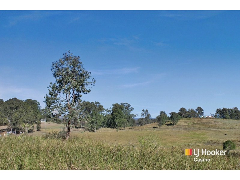 800 Ellangowan Road, Yorklea NSW 2470