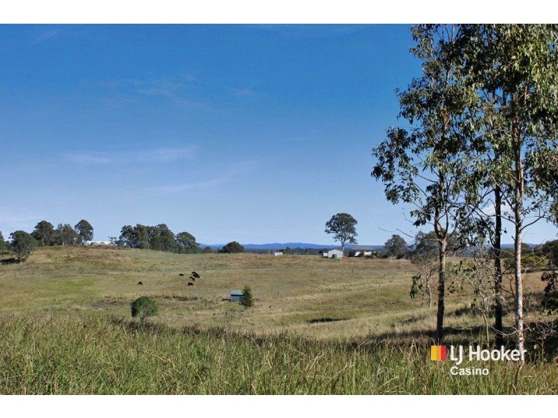 800 Ellangowan Road, Yorklea NSW 2470