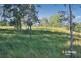 800 Ellangowan Road, Yorklea NSW 2470